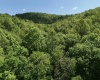 TBD Rush Run Road, Fairview, West Virginia 26570, ,Lots/land,For Sale,Rush Run,10160864