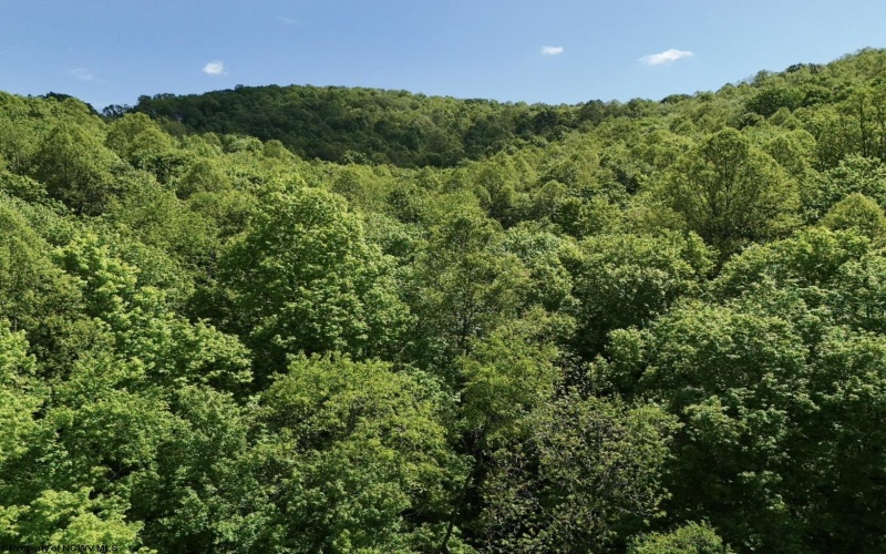 TBD Rush Run Road, Fairview, West Virginia 26570, ,Lots/land,For Sale,Rush Run,10160864