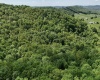 TBD Rush Run Road, Fairview, West Virginia 26570, ,Lots/land,For Sale,Rush Run,10160864
