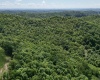 TBD Rush Run Road, Fairview, West Virginia 26570, ,Lots/land,For Sale,Rush Run,10160864
