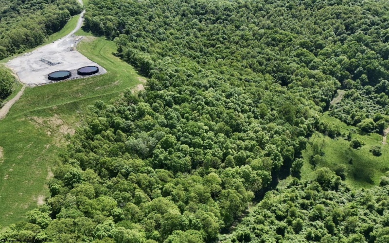 TBD Rush Run Road, Fairview, West Virginia 26570, ,Lots/land,For Sale,Rush Run,10160864
