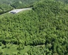 TBD Rush Run Road, Fairview, West Virginia 26570, ,Lots/land,For Sale,Rush Run,10160864