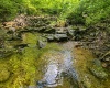 TBD Rush Run Road, Fairview, West Virginia 26570, ,Lots/land,For Sale,Rush Run,10160864