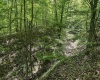 TBD Rush Run Road, Fairview, West Virginia 26570, ,Lots/land,For Sale,Rush Run,10160864