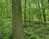 TBD Rush Run Road, Fairview, West Virginia 26570, ,Lots/land,For Sale,Rush Run,10160864