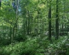 TBD Rush Run Road, Fairview, West Virginia 26570, ,Lots/land,For Sale,Rush Run,10160864