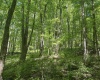 TBD Rush Run Road, Fairview, West Virginia 26570, ,Lots/land,For Sale,Rush Run,10160864