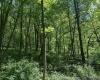 TBD Rush Run Road, Fairview, West Virginia 26570, ,Lots/land,For Sale,Rush Run,10160864