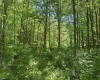 TBD Rush Run Road, Fairview, West Virginia 26570, ,Lots/land,For Sale,Rush Run,10160864
