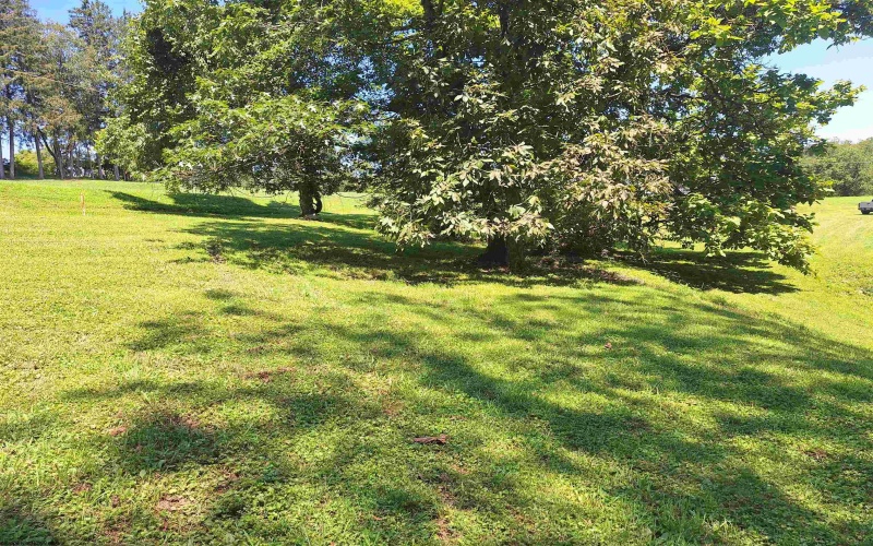 TBD Chicken Farm Road, Clarksburg, West Virginia 26301, ,Lots/land,For Sale,Chicken Farm,10160872