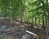 577 Curry Ridge Road, Napier, West Virginia 26631, 2 Bedrooms Bedrooms, 4 Rooms Rooms,1 BathroomBathrooms,Single Family Detached,For Sale,Curry Ridge,10160887