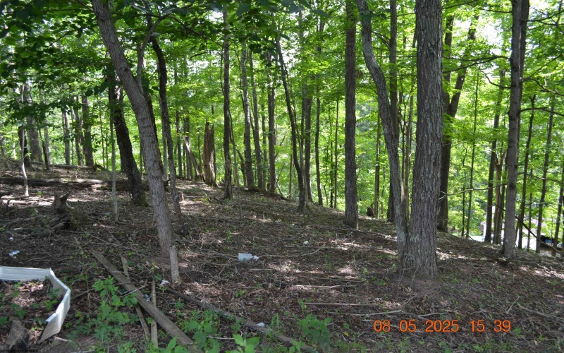 577 Curry Ridge Road, Napier, West Virginia 26631, 2 Bedrooms Bedrooms, 4 Rooms Rooms,1 BathroomBathrooms,Single Family Detached,For Sale,Curry Ridge,10160887