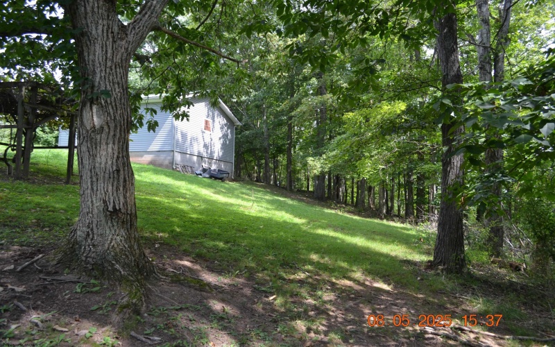 577 Curry Ridge Road, Napier, West Virginia 26631, 2 Bedrooms Bedrooms, 4 Rooms Rooms,1 BathroomBathrooms,Single Family Detached,For Sale,Curry Ridge,10160887