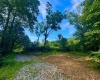 0 Route 72 (RR), Parsons, West Virginia 26287, ,Lots/land,For Sale,Route 72,10160897