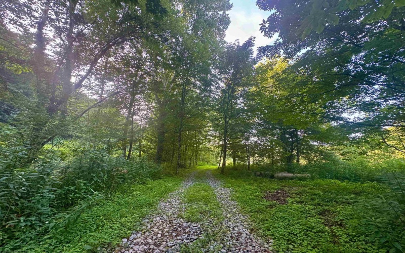 0 Route 72 (RR), Parsons, West Virginia 26287, ,Lots/land,For Sale,Route 72,10160897