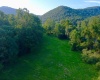 0 Route 72 (RR), Parsons, West Virginia 26287, ,Lots/land,For Sale,Route 72,10160897