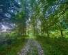 0 Route 72 (RR), Parsons, West Virginia 26287, ,Lots/land,For Sale,Route 72,10160897