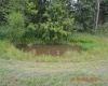 0 Southern Drive, Ireland, West Virginia 26376, ,Lots/land,For Sale,Southern,10160885