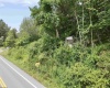 3218 Old Weston Road, Buckhannon, West Virginia 26201, ,Lots/land,For Sale,Old Weston,10160898