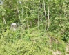 3218 Old Weston Road, Buckhannon, West Virginia 26201, ,Lots/land,For Sale,Old Weston,10160898