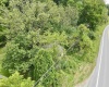 3218 Old Weston Road, Buckhannon, West Virginia 26201, ,Lots/land,For Sale,Old Weston,10160898