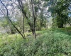 3218 Old Weston Road, Buckhannon, West Virginia 26201, ,Lots/land,For Sale,Old Weston,10160898