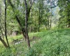 3218 Old Weston Road, Buckhannon, West Virginia 26201, ,Lots/land,For Sale,Old Weston,10160898
