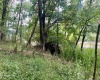 3218 Old Weston Road, Buckhannon, West Virginia 26201, ,Lots/land,For Sale,Old Weston,10160898