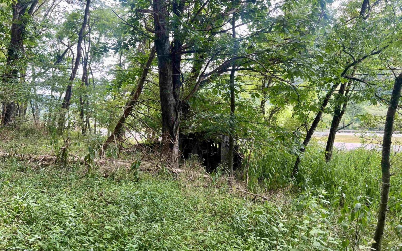3218 Old Weston Road, Buckhannon, West Virginia 26201, ,Lots/land,For Sale,Old Weston,10160898