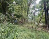 3218 Old Weston Road, Buckhannon, West Virginia 26201, ,Lots/land,For Sale,Old Weston,10160898