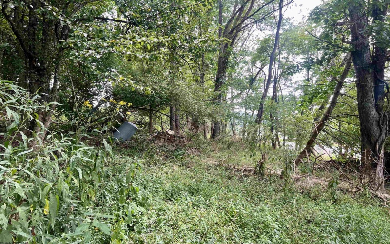 3218 Old Weston Road, Buckhannon, West Virginia 26201, ,Lots/land,For Sale,Old Weston,10160898