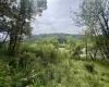 3218 Old Weston Road, Buckhannon, West Virginia 26201, ,Lots/land,For Sale,Old Weston,10160898