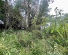 3218 Old Weston Road, Buckhannon, West Virginia 26201, ,Lots/land,For Sale,Old Weston,10160898