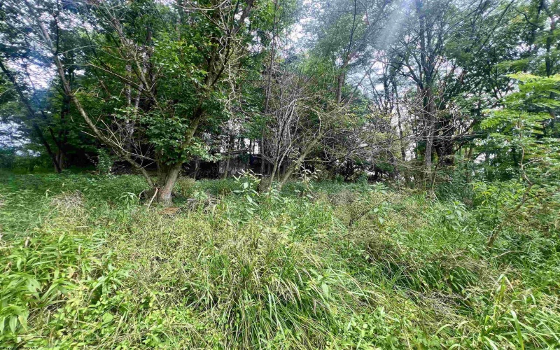 3218 Old Weston Road, Buckhannon, West Virginia 26201, ,Lots/land,For Sale,Old Weston,10160898