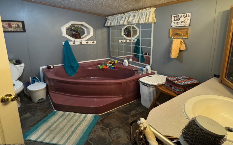 101 Dogwood Trail, Napier, West Virginia 26631, 3 Bedrooms Bedrooms, 6 Rooms Rooms,3 BathroomsBathrooms,Single Family Detached,For Sale,Dogwood,10160891