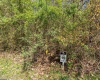 116 Iris Lane, Morgantown, West Virginia 26501, ,Lots/land,For Sale,Iris,10148599