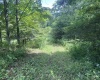 Lot 133 Sunset Mountain Village Drive, Slaty Fork, West Virginia 26291, ,Lots/land,For Sale,Sunset Mountain Village,10160904