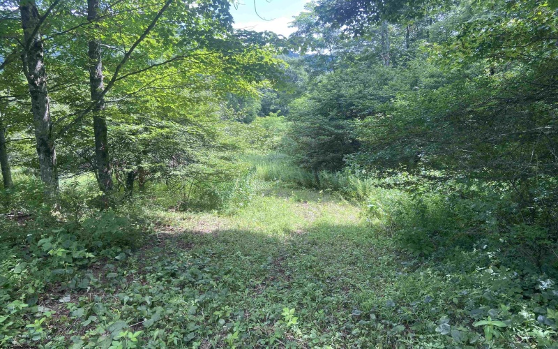 Lot 133 Sunset Mountain Village Drive, Slaty Fork, West Virginia 26291, ,Lots/land,For Sale,Sunset Mountain Village,10160904