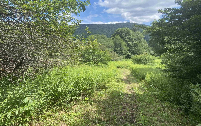 Lot 133 Sunset Mountain Village Drive, Slaty Fork, West Virginia 26291, ,Lots/land,For Sale,Sunset Mountain Village,10160904