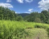 Lot 133 Sunset Mountain Village Drive, Slaty Fork, West Virginia 26291, ,Lots/land,For Sale,Sunset Mountain Village,10160904