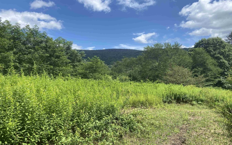 Lot 133 Sunset Mountain Village Drive, Slaty Fork, West Virginia 26291, ,Lots/land,For Sale,Sunset Mountain Village,10160904