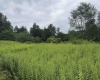 Lot 133 Sunset Mountain Village Drive, Slaty Fork, West Virginia 26291, ,Lots/land,For Sale,Sunset Mountain Village,10160904