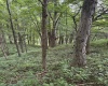Lot 133 Sunset Mountain Village Drive, Slaty Fork, West Virginia 26291, ,Lots/land,For Sale,Sunset Mountain Village,10160904
