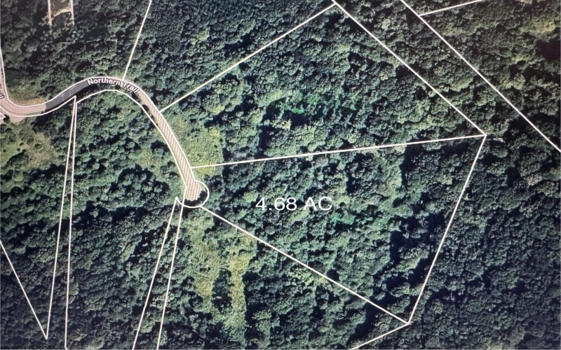 Lot 133 Sunset Mountain Village Drive, Slaty Fork, West Virginia 26291, ,Lots/land,For Sale,Sunset Mountain Village,10160904