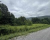 Lot 135 Sunset Mountain Village Drive, Slaty Fork, West Virginia 26291, ,Lots/land,For Sale,Sunset Mountain Village,10160905
