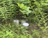 Lot 135 Sunset Mountain Village Drive, Slaty Fork, West Virginia 26291, ,Lots/land,For Sale,Sunset Mountain Village,10160905