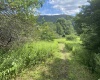 Lot 135 Sunset Mountain Village Drive, Slaty Fork, West Virginia 26291, ,Lots/land,For Sale,Sunset Mountain Village,10160905