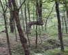 Lot 135 Sunset Mountain Village Drive, Slaty Fork, West Virginia 26291, ,Lots/land,For Sale,Sunset Mountain Village,10160905