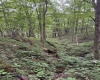 Lot 135 Sunset Mountain Village Drive, Slaty Fork, West Virginia 26291, ,Lots/land,For Sale,Sunset Mountain Village,10160905