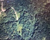 Lot 132 Sunset Mountain Village Drive, Slaty Fork, West Virginia 26291, ,Lots/land,For Sale,Sunset Mountain Village,10160907